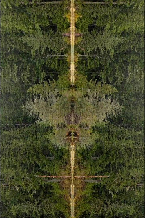 Mirrorpond