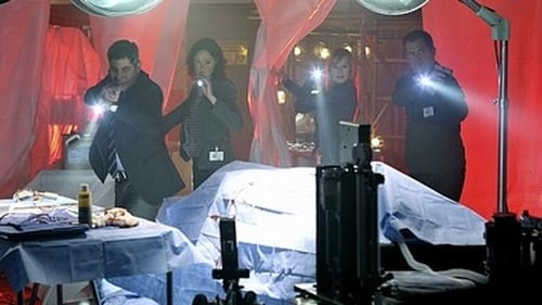 CSI: Crime Scene Investigation: 11×21