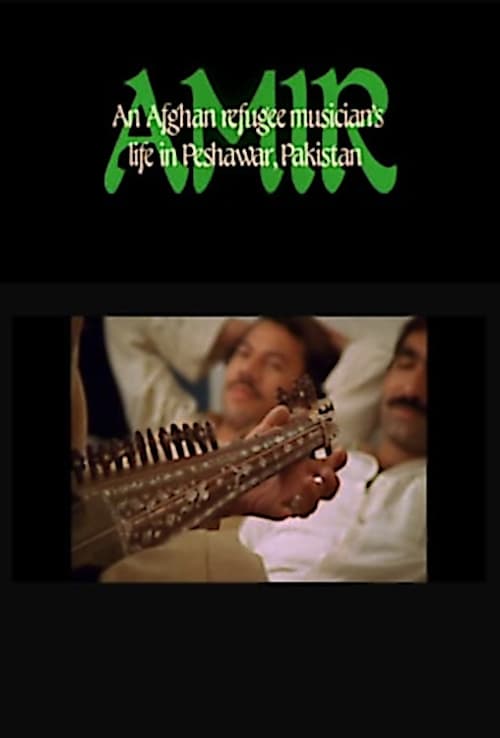 Amir: An Afghan Refugee Musician's Life in Peshawar, Pakistan 1985