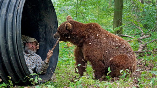 Teenage Bears