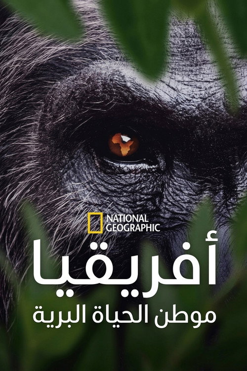 أفريقيا موطن الحياة البرية