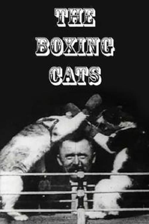 Poster Prof. Welton's Boxing Cats 1894