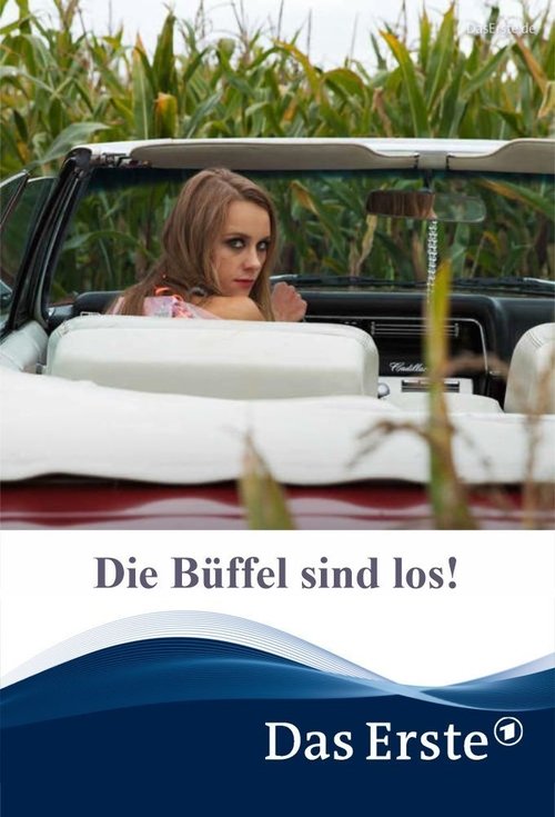 Die Büffel sind los! 2016