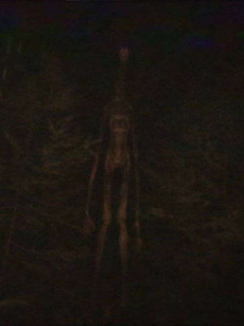 Obelisk - You're Almost Gone