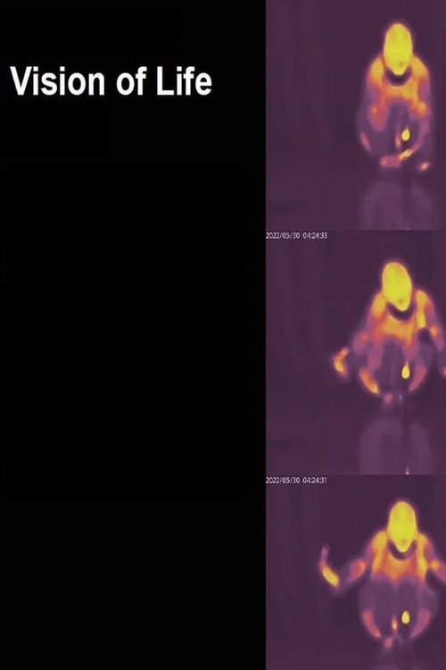 Vision of Life poster