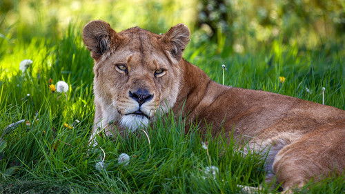 Image de l'épisode 9