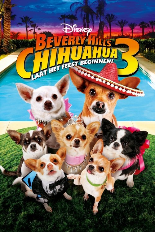 Beverly Hills Chihuahua 3: Viva la Fiesta! (2012) poster