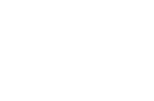 Four Hours at the Capitol