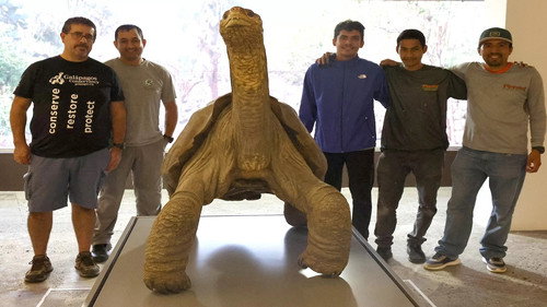 Lonesome George and the Battle for Galapagos