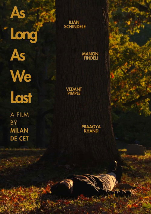 Cartell de As Long As We Last