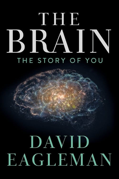 El cerebro con David Eagleman