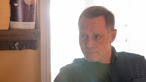 Chicago P.D. Distrito 21: 3×2