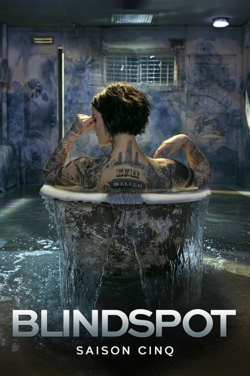 Blindspot - Saison 5