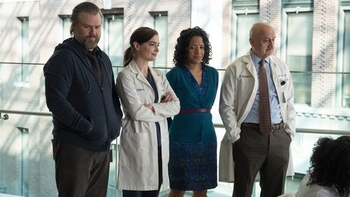 New Amsterdam: 1×1