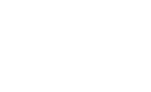 Last Men in Aleppo