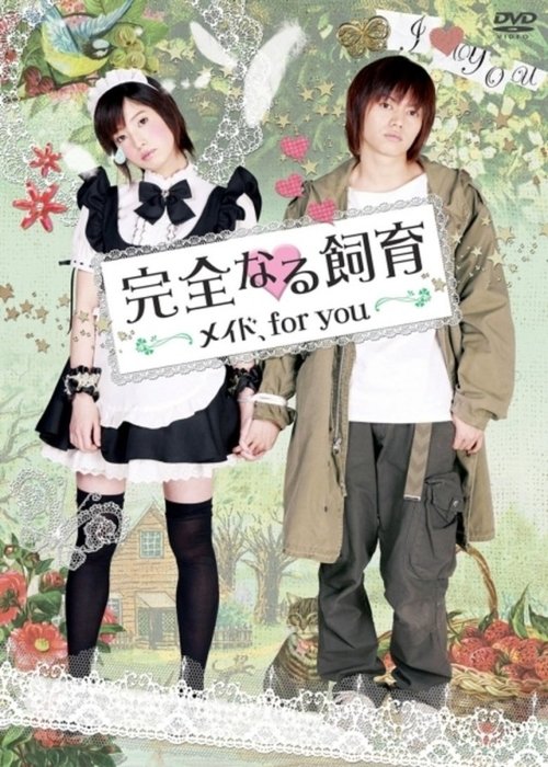 Perfect Education: A Maid for You 2010