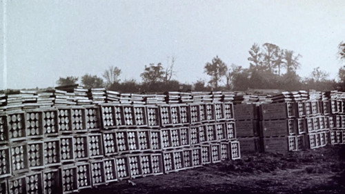 WWI: Hidden Traces Backdrop Blur