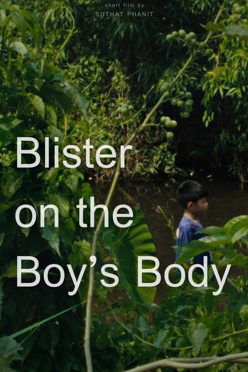 Blister on the Boy’s Body poster