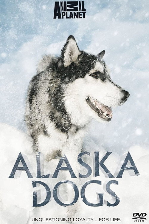 Alaska Dogs
