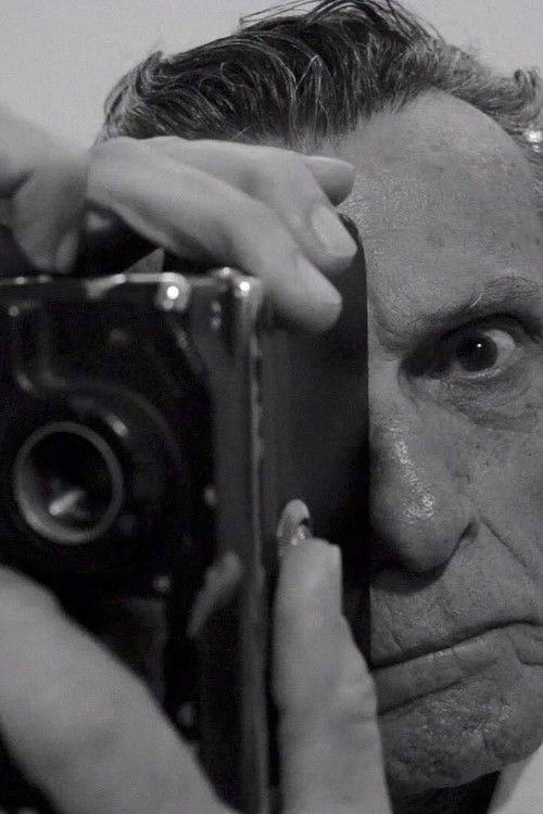 Travelling Adiante poster