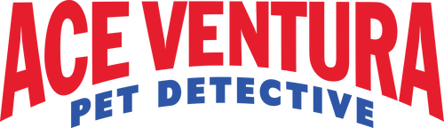 Ace Ventura: Pet Detective