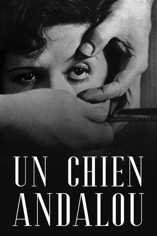 Un chien andalou (1929) poster