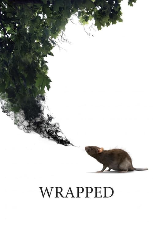 Wrapped (2014) poster