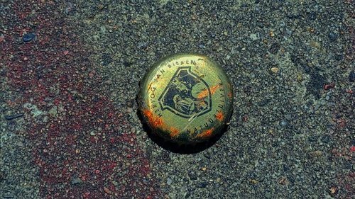 i love bottle caps image 4