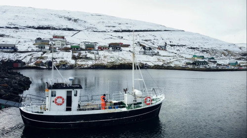 Bloody Tradition – Agree to Disagree