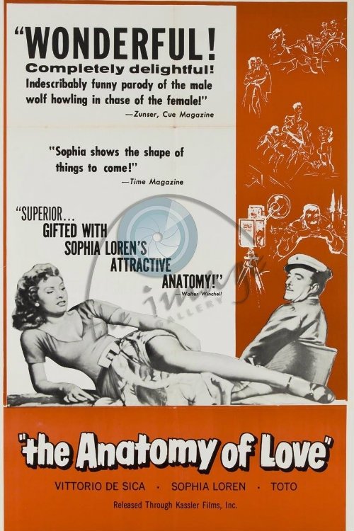 The Anatomy of Love movie poster player