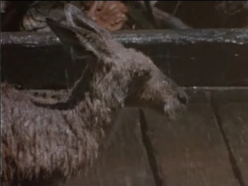 Skippy the Bush Kangaroo, S02E31 - (1969)