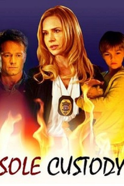 Sole Custody poster