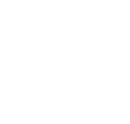 Our Words Collide