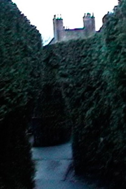Path