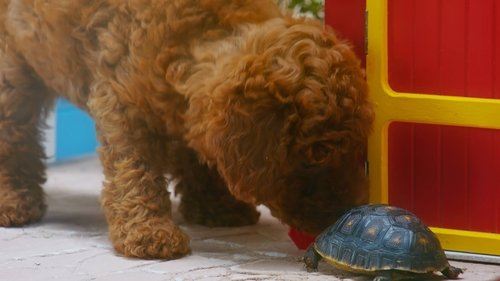 Image de l'épisode 5