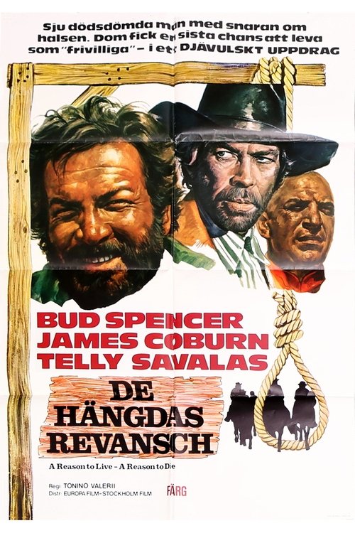 Una ragione per vivere e una per morire movie poster player