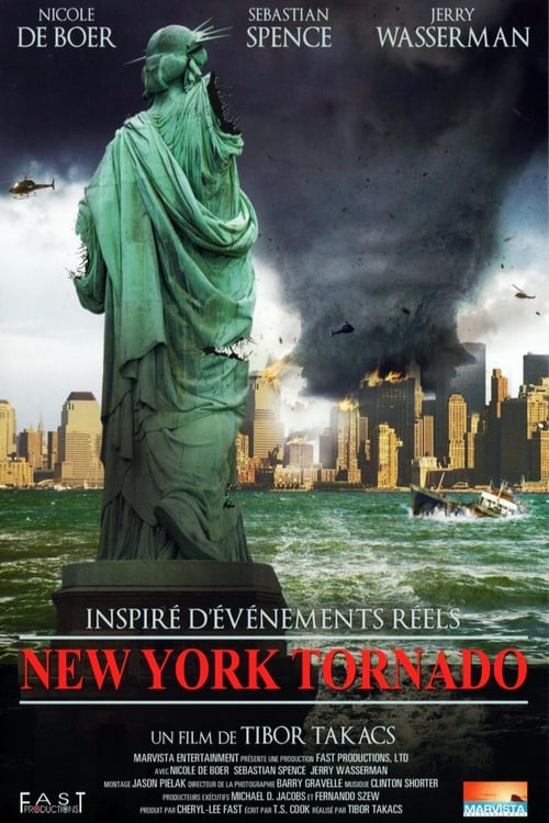 Tornado en Nueva York 2008