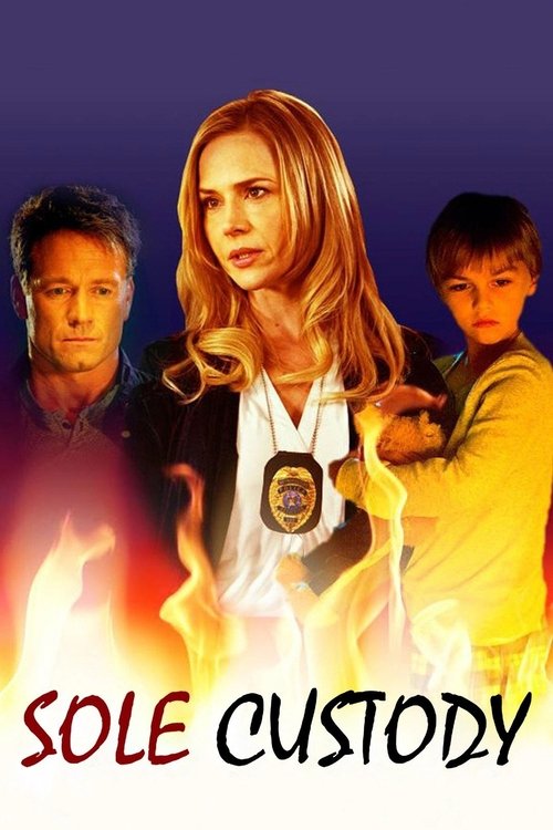 Sole Custody poster