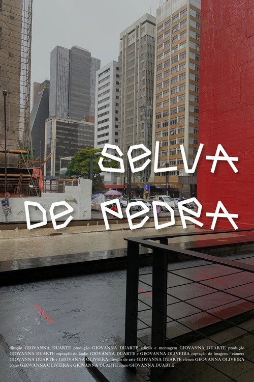 Selva de Pedra still 2