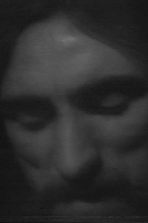 Excerpts from the Diary movie poster player