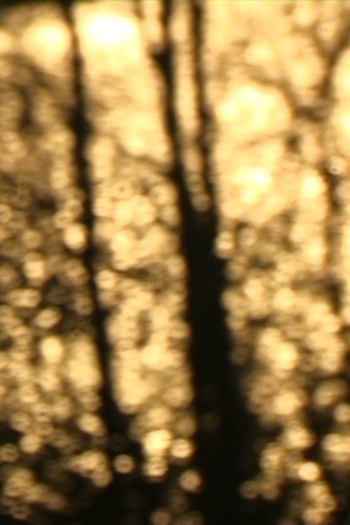 En traversée
