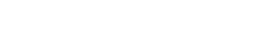 THE CRIMINALS