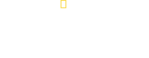 Savage Kingdom