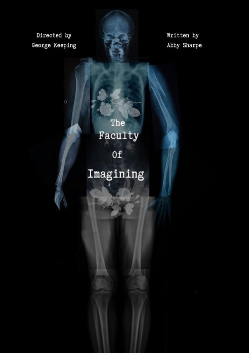 The Faculty of Imagining poster