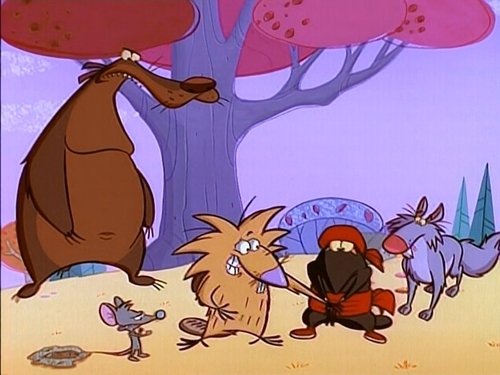 Image de l'épisode 13
