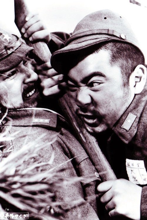 The Hoodlum Soldier Collection