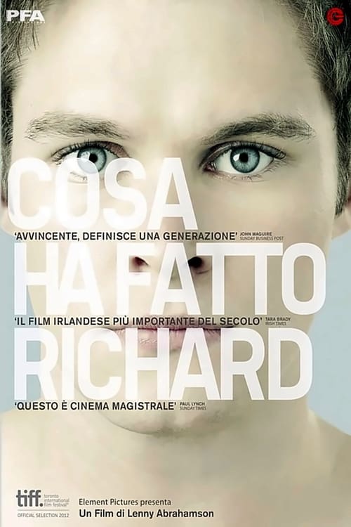 What Richard Did poster