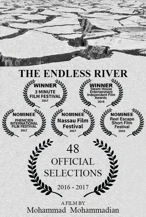 The Endless River poster