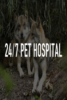 Escena 5 de 24/7 Pet Hospital