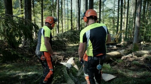 Poster della serie Undercut: l'oro di legno